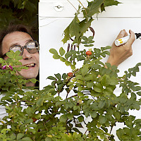 Tom Lindholm alias Tohtori Pekka Tuttava